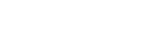 NYU Tandon Data Futuer Lab logo