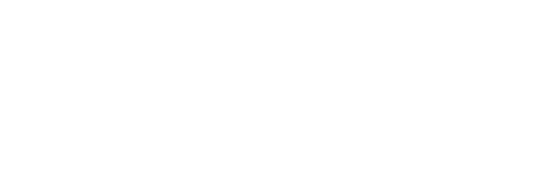 NYU Tandon Data Futuer Lab logo