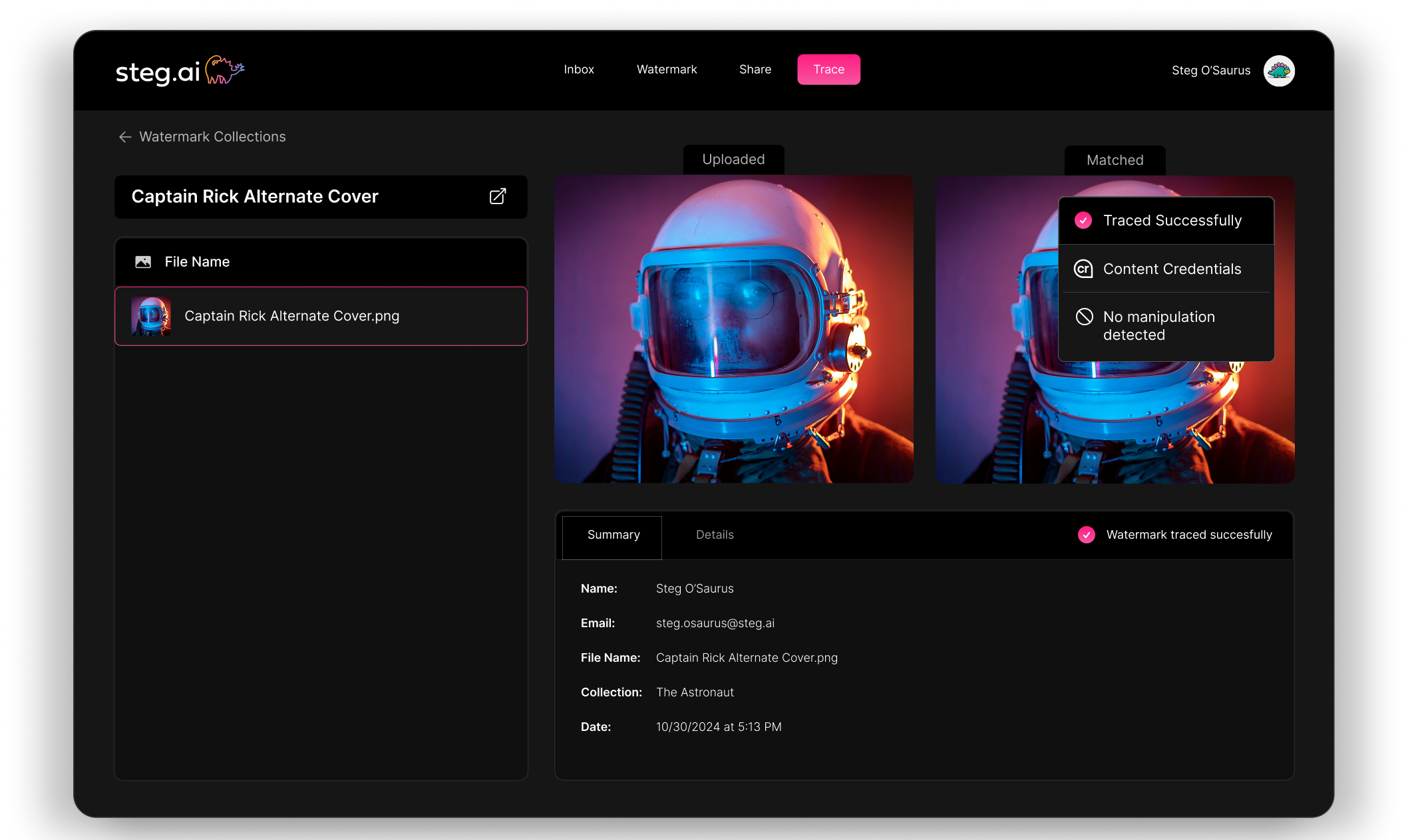 public facing AI detection tool