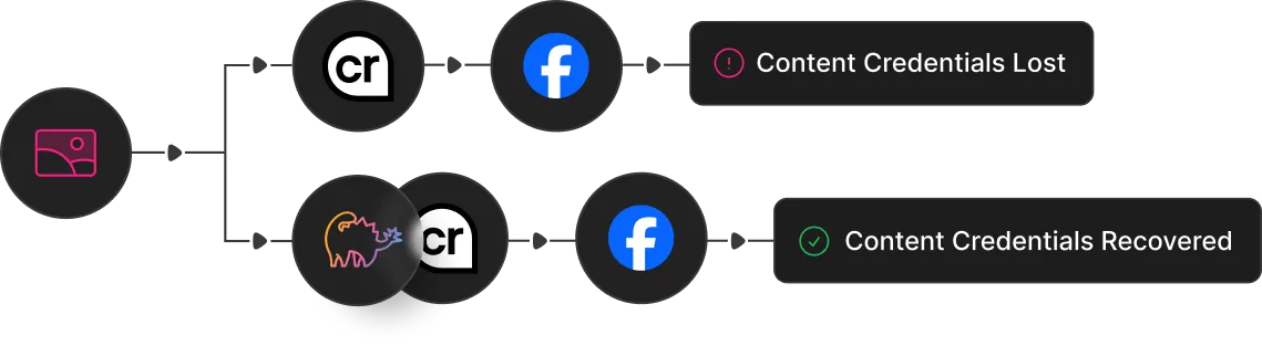 c2pa content provenance