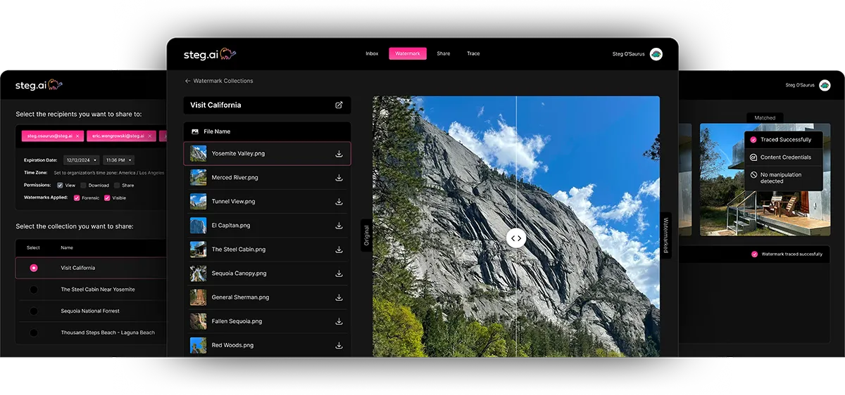 digital content protection with steg.ai watermarking software